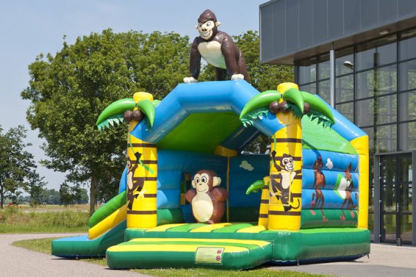 Multifun Jungle nw (1)